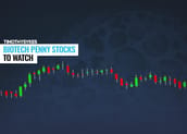 Image for Top Biotech Penny Stocks to Watch recomended post